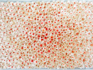 Wally Workman Gallery presents Priscilla Robinson: A Piece of The Sky