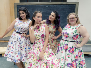 The Marvelous Wonderettes