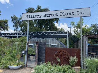 Tillery Street Plant Co