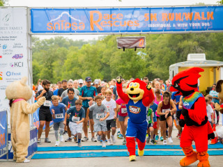 Race for the Rescues