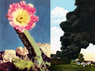 Carolina Caycedo and David de Rozas: "The Blessings of the Mystery" opening day