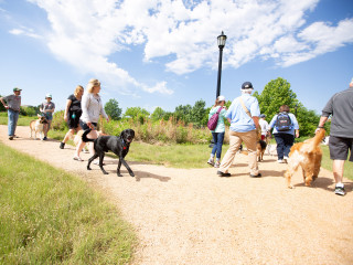 Pups in the Park