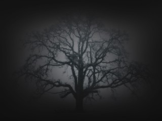 Ethereal Horror Fest