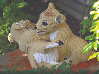 BRICKLIVE Houston: Animal Paradise