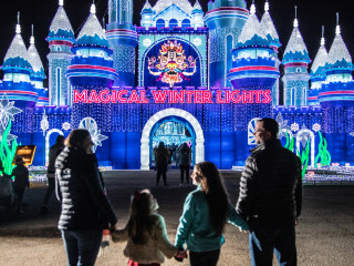 Magical Winter Lights