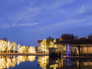 The Modern Lights