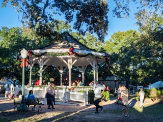 Nutcracker in the Park
