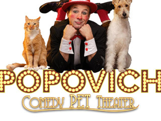 Popovich Comedy Pet Theater