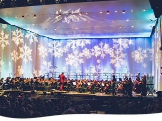 Holly Jolly Jingle