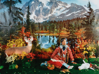 San Antonio Museum of Art presents Wendy Red Star: "A Scratch on the Earth"
