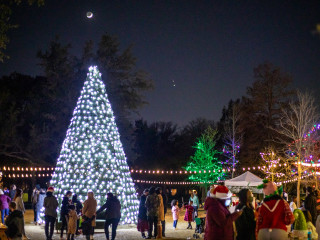 Magic on Village Glen
