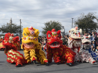 Chinese New Year Festival