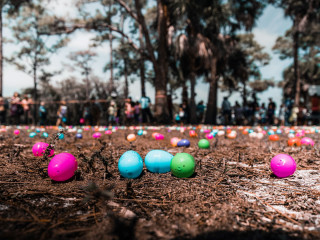 Farmers Branch Historical Park presents Adult Egg Hunt