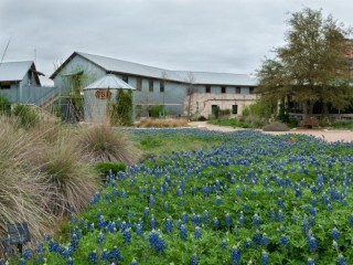 Wine & Wildflower Tour