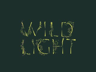 <i>Wild Light</i>