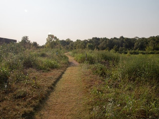 Trinity River Audubon Center presents Guided Nature Hike