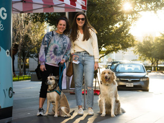Wine & Wag Walk