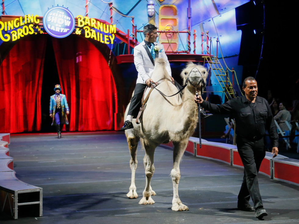 Ringling Bros. wedding, Mustafa Danguir and Anna Lebedeva,, July 2016