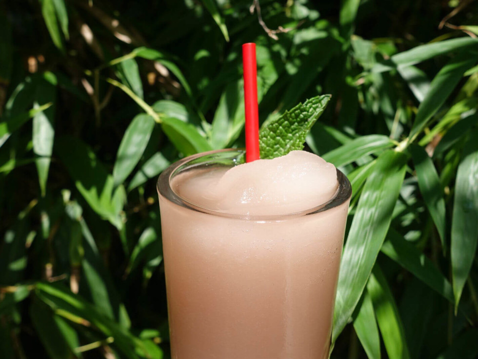 Frose from Hotel San Jose