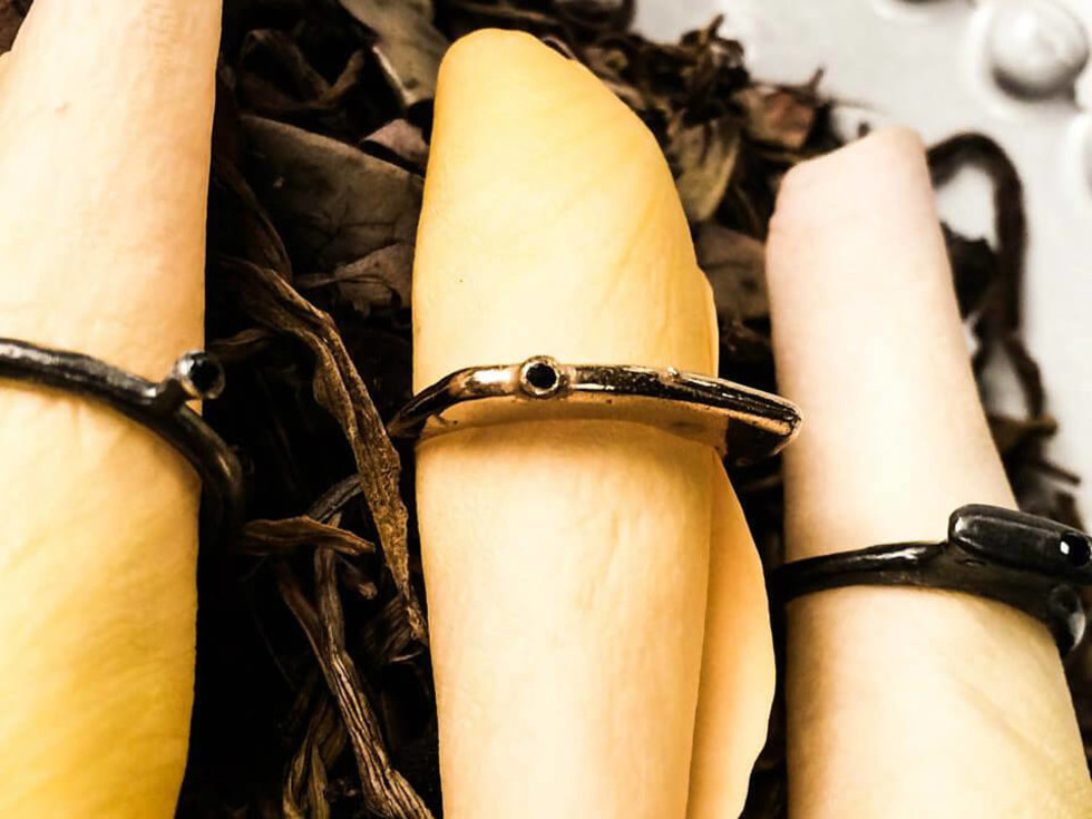 René Talmon l'Armée rings at Grange Hall