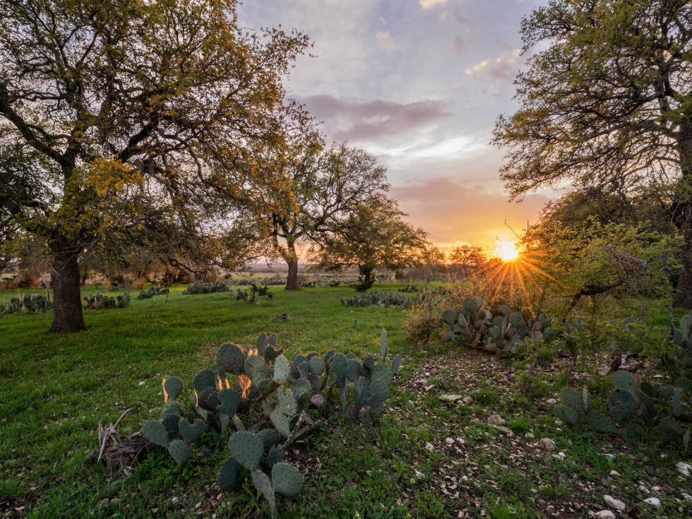 Orchard Ridge housing development Liberty Hill country sunset