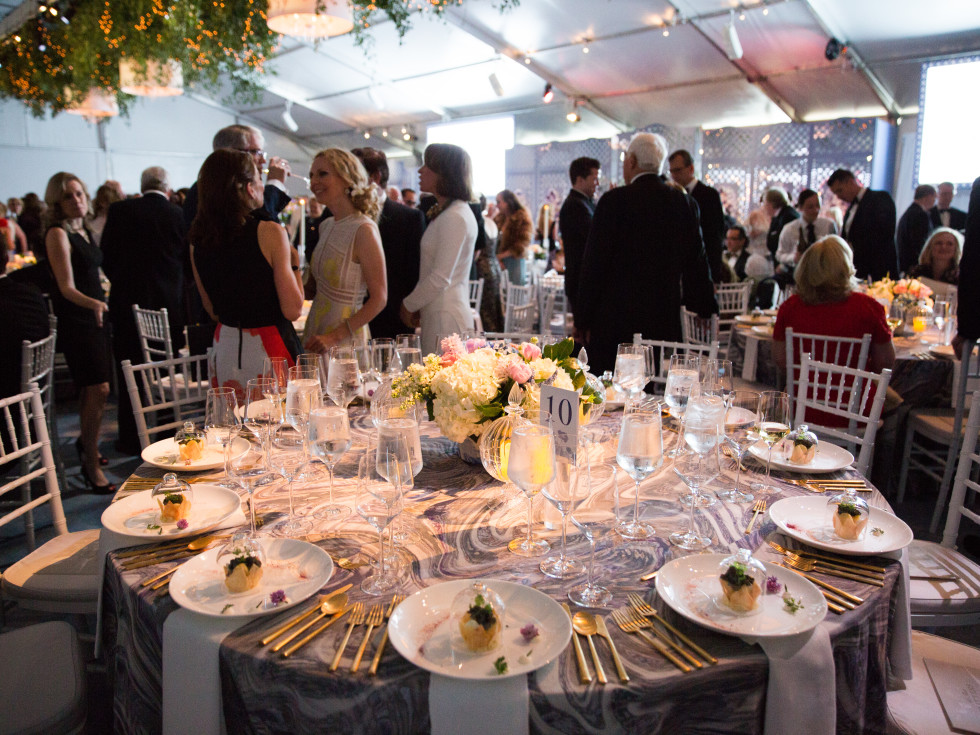 Dallas Art Ball 2017
