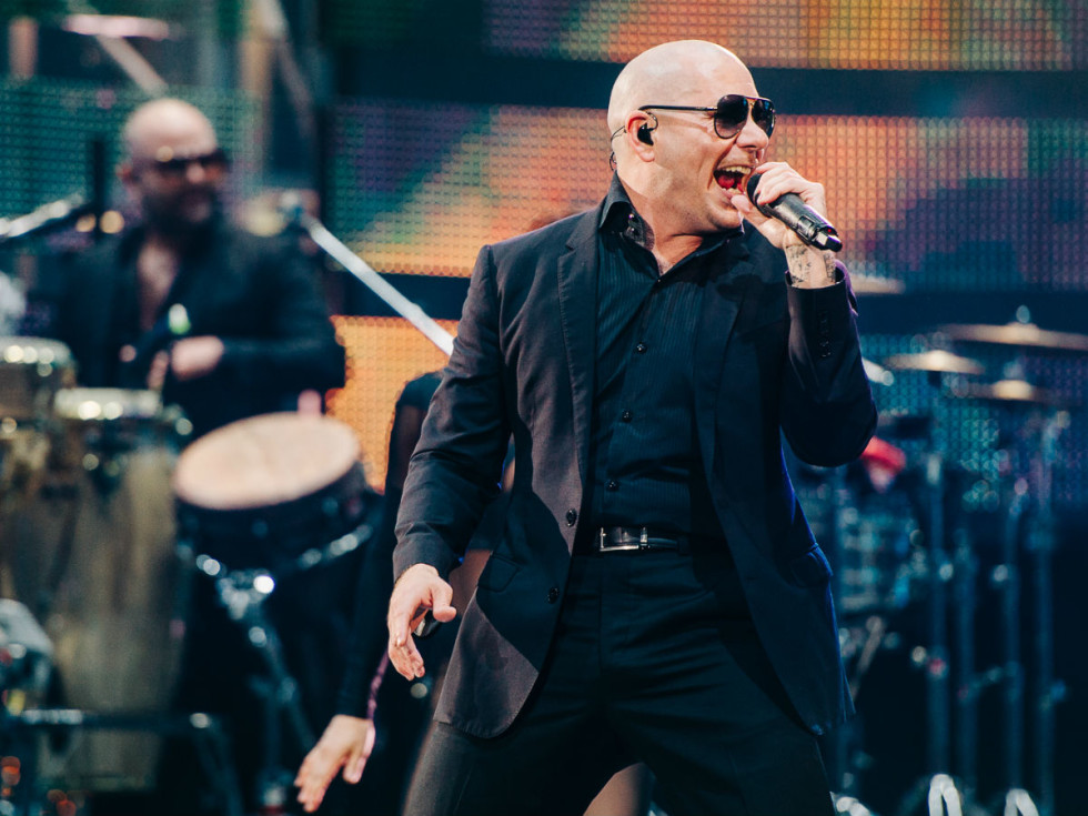 Pitbull mic