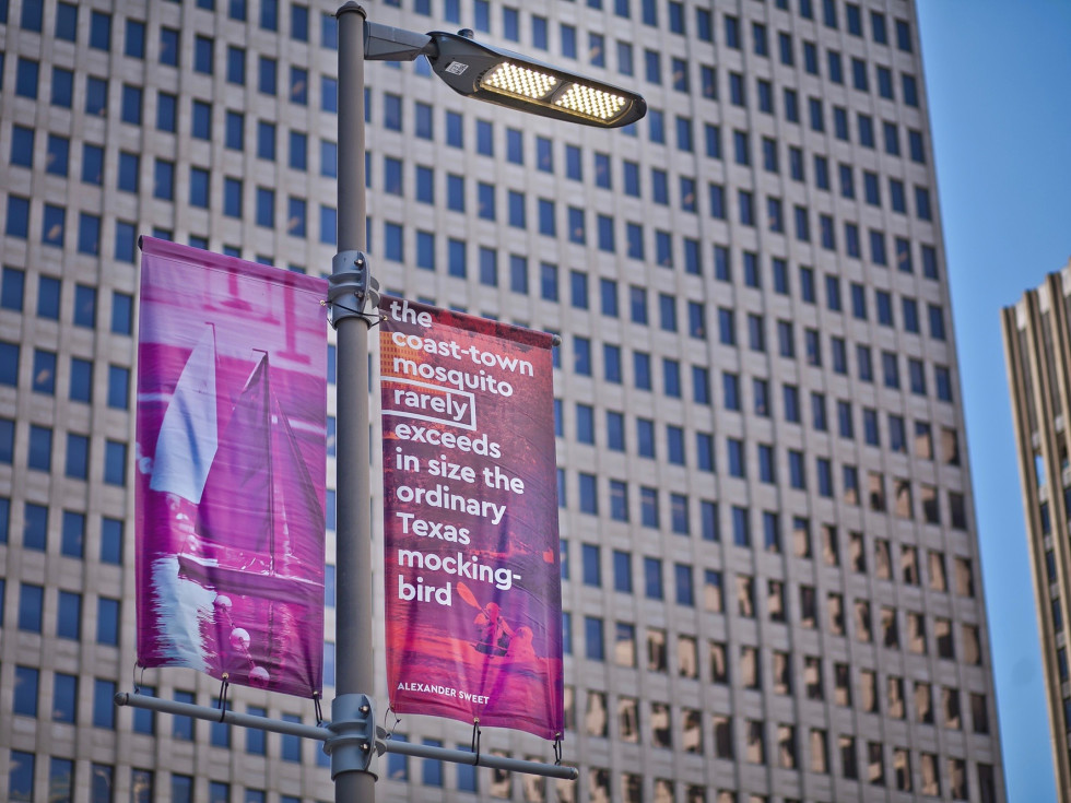 Downtown District banners