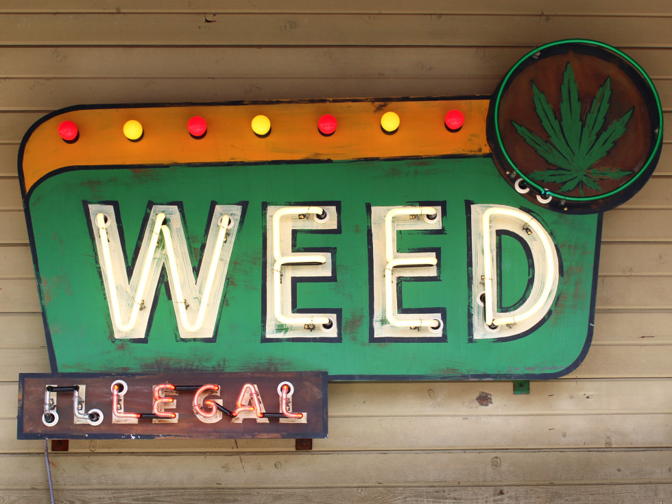Luck Reunion 2016 Texas weed sign Todd Sanders