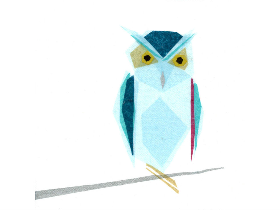 Tiny Fawn Omar Owl print at West Elm