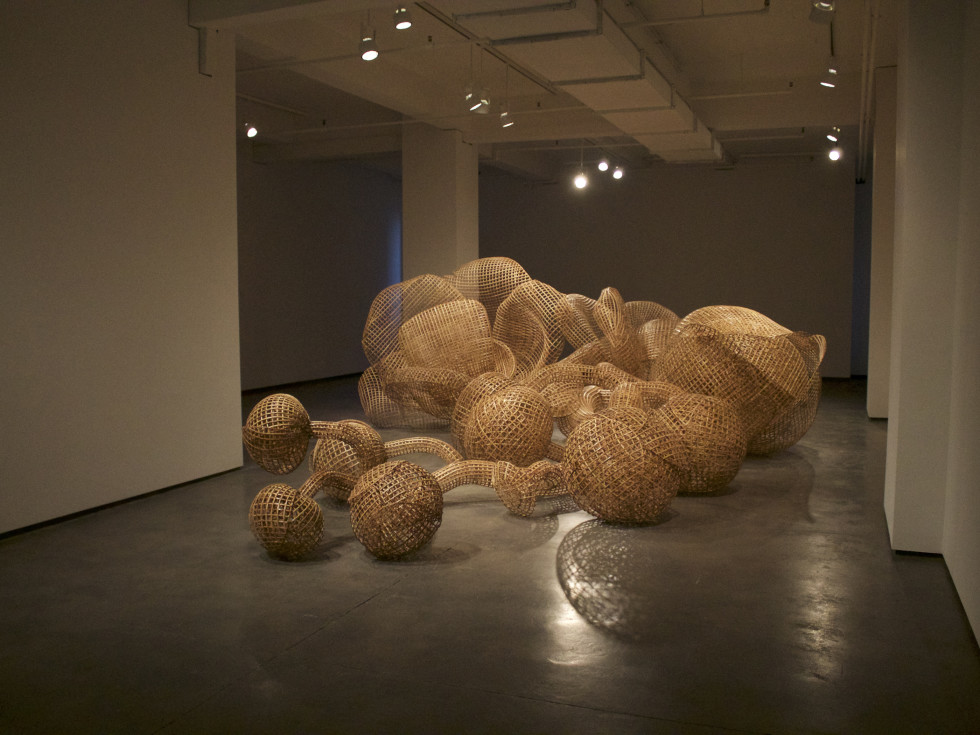 Crow Collection of Asian Art presents Hidden Nature Sopheap Pich