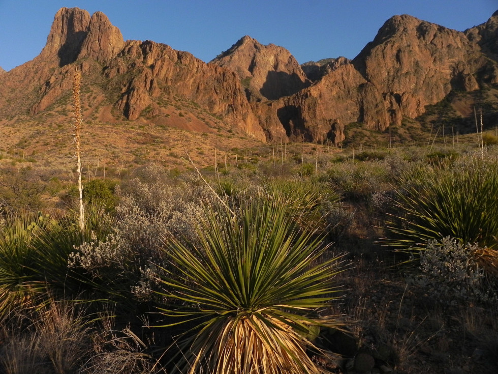 News_Big Bend_548