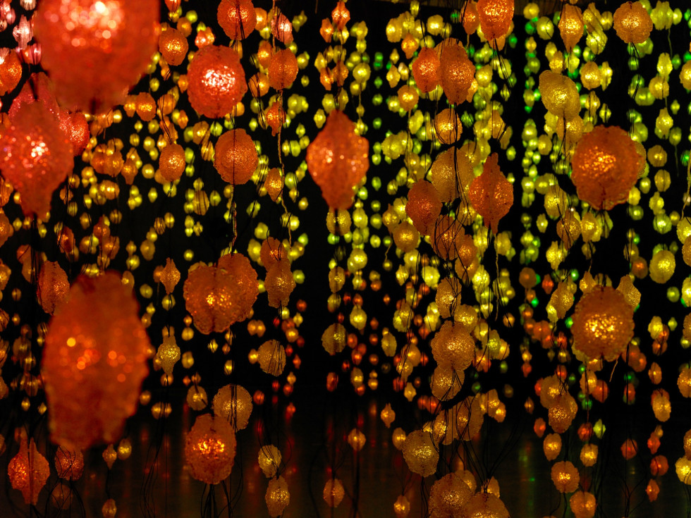 Houston, Pipilotti Rist MFAH exhibit, June 2017, Pixel Forest