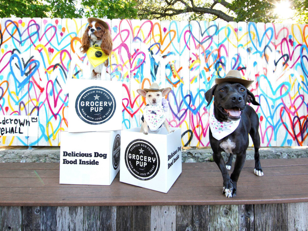 dog food sent to your door