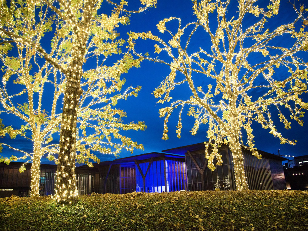 Modern Lights, Modern Art Museum of Fort Worth