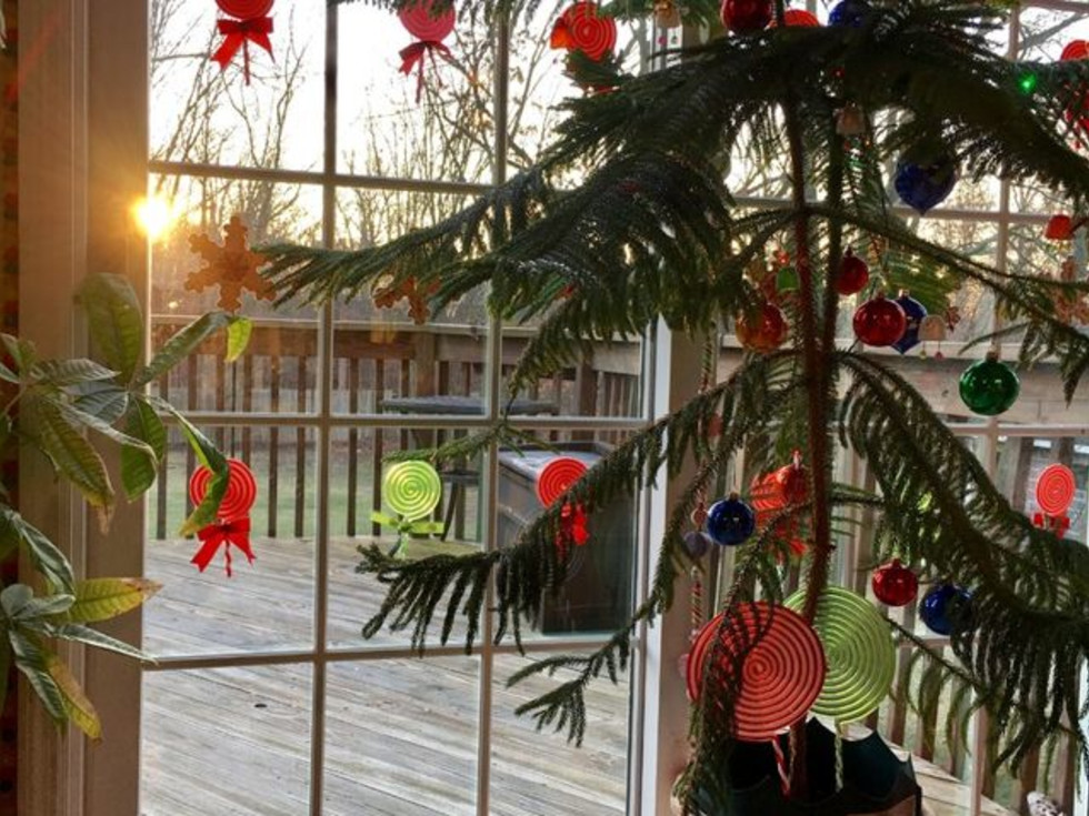 Cute potted plant Christmas tree idea