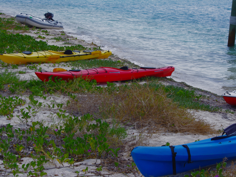 Dreaming of a deserted tropical island? Florida's Dry Tortugas is a
