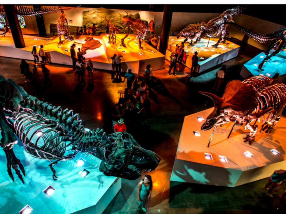 Houston Museum Pass