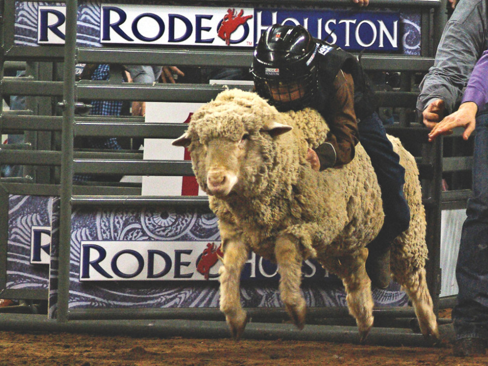 Yeehaw! Houston rodeo sets attendance records CultureMap Houston