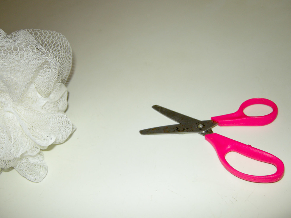 News_Steven Thomson_scissors_net
