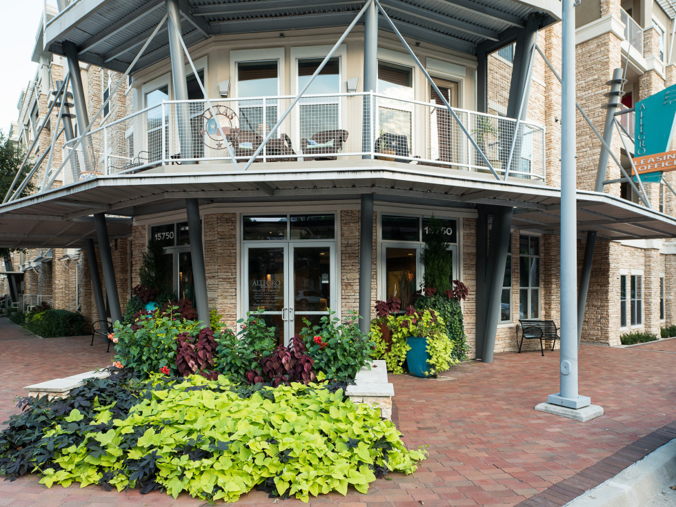 Allegro Addison apartments