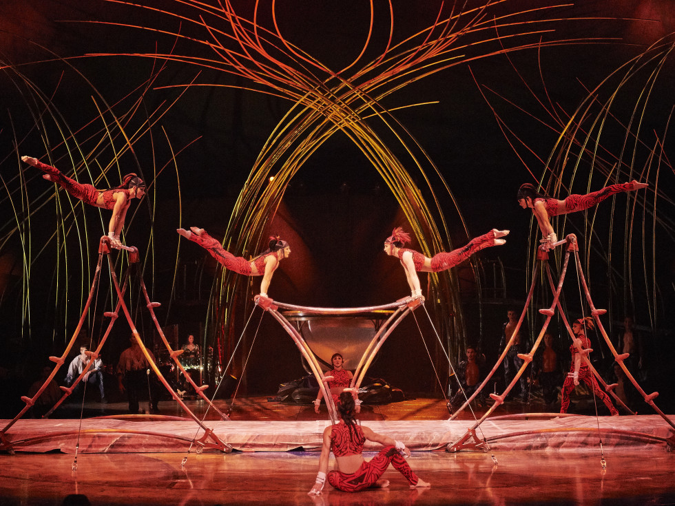 Cirque Du Soleil Amaluna