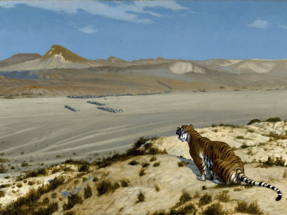 Gerome, Tiger on the Watch, Fortuny Meadows Museum