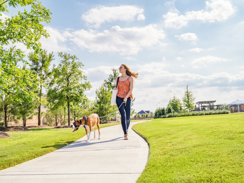 Woman walking a dog