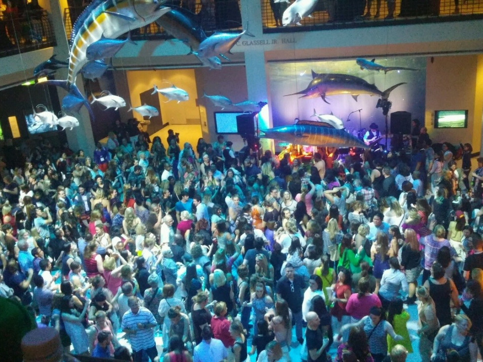 Natural Science museum set to launch last summer of Mixers & Elixir