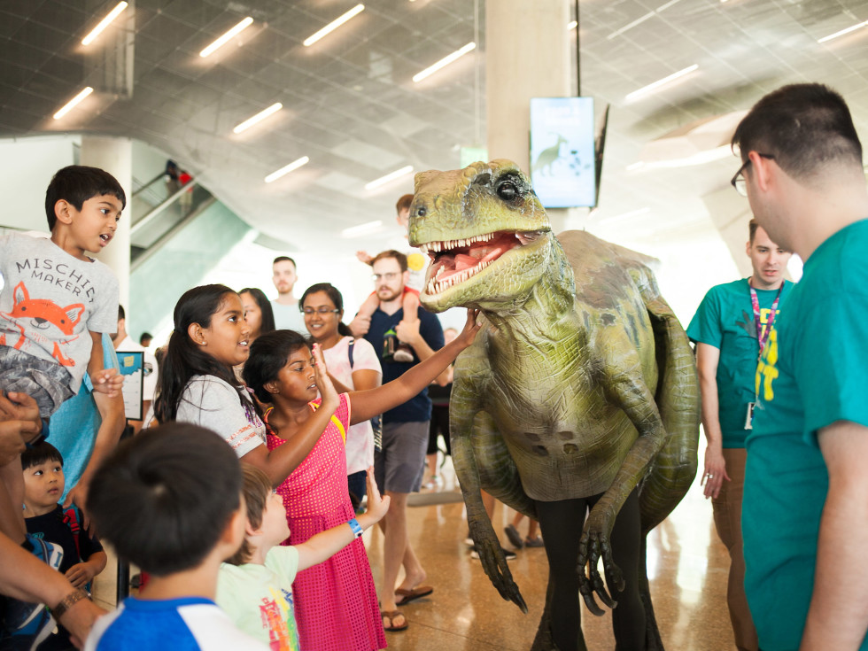 Dino Fest