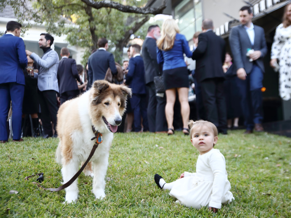 Real wedding Houston Ryan Korsgard Marshall Eudy