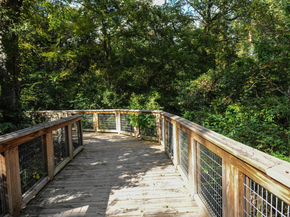 Online and in person, get ready to explore Baton Rouge, Louisiana