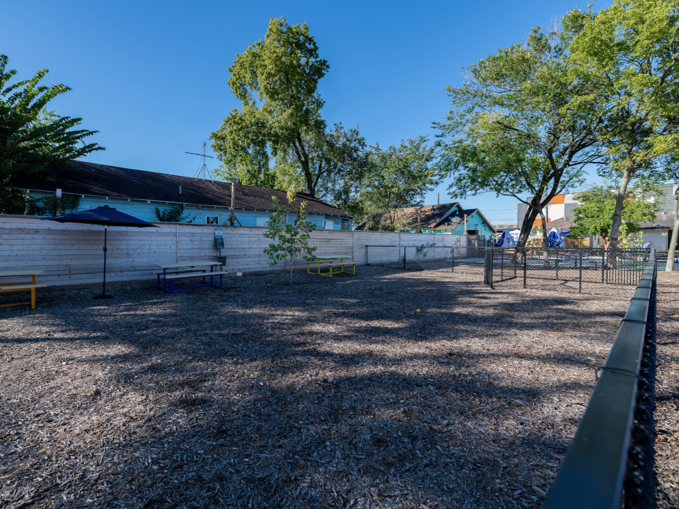 East End Backyard bar dog park