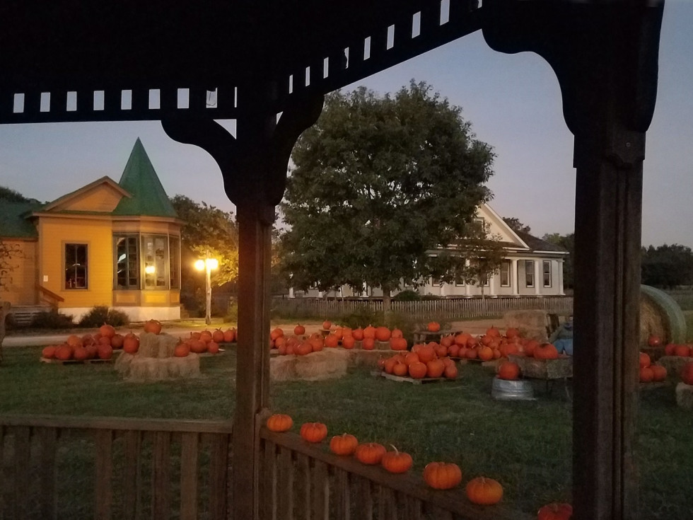 Pioneer Farms pumpkins